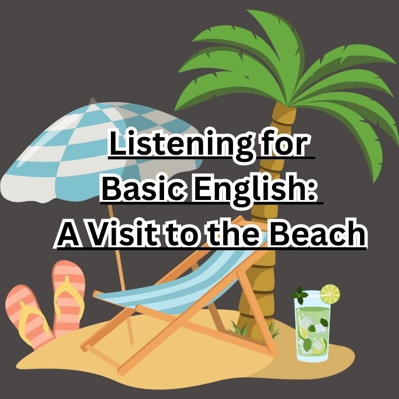 A Visit to the Beach A Visit to the Beach