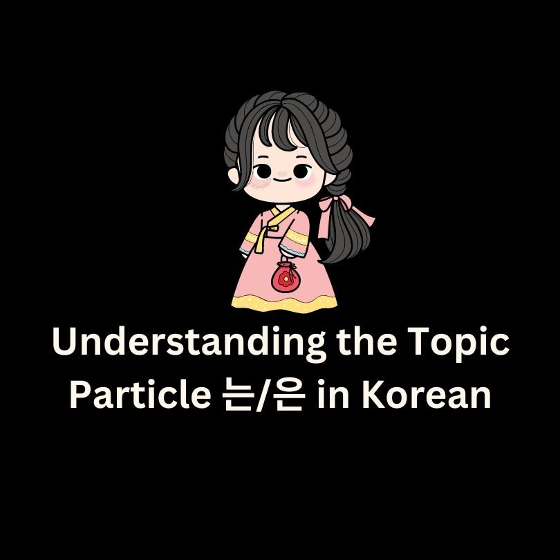 Topic Particle 는/은 in Korean