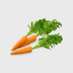 Carrot